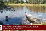 VIDEO: DKP Kulon Progo keruk Laguna Trisik