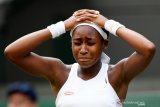 Gauff dan Stosur peroleh wildcard US Open