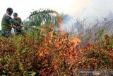 Prajurit TNI Kodim 0116/Nagan Raya berusaha memadamkan api yang membakar lahan gambut dengan alat seadanya di kawasan perkebunan kelapa sawit milik PT Fajar Baizury Desa Cot Muu, Kecamatan Tadu Raya, Nagan Raya, Aceh, Rabu (3/7/2019). Menurut keterangan Dandim Nagan Raya Letkol Kav Nanak Yuliana, sekitar 20 hektare lahan gambut di Kecamatan Tadu Raya dan Kecamatan Tripa Makmur terbakar dan hingga saat ini pihaknya terus berupaya memadamkan api agar tidak meluas. (Antara Aceh/ SyifaYulinnas)