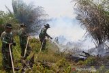 Prajurit TNI Kodim 0116/Nagan Raya berusaha memadamkan api yang membakar lahan gambut dengan alat seadanya di kawasan perkebunan kelapa sawit milik PT Fajar Baizury Desa Cot Muu, Kecamatan Tadu Raya, Nagan Raya, Aceh, Rabu (3/7/2019). Menurut keterangan Dandim Nagan Raya Letkol Kav Nanak Yuliana, sekitar 20 hektare lahan gambut di Kecamatan Tadu Raya dan Kecamatan Tripa Makmur terbakar dan hingga saat ini pihaknya terus berupaya memadamkan api agar tidak meluas. (Antara Aceh/ SyifaYulinnas)