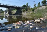 Pengendara melintasi jembatan Sungai Jeroan, Kabupaten Madiun, Jawa Timur, Selasa (2/7/2019). Akibat musim kemarau Sungai Jeroan yang pada musim penghujan lalu meluap hingga merendam sejumlah wilayah selama beberapa hari itu saat ini mulai kering dan tinggal menyisakan sedikit air serta tumpukan sampah. Antara Jatim/Siswowidodo/zk.