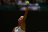 Pliskova maksimalkan servisnya untuk atasi Hsieh