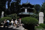 Wisatawan mengamati menara Masjid Raya Xi'an di Xi'an, Shaanxi, China, Sabtu (6/7/2019). Masjid yang diperkirakan dibangun pada abad ketujuh  tersebut merupakan salah satu masjid tertua dan terbesar di China. Antara Jatim/Zabur Karuru