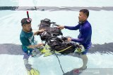 Instruktur selam melatih peserta pelatihan dan sertifikasi selam skuba (scuba diving) dasar jenjang A1 atau 