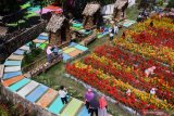 Wisatawan menikmati pemandangan di Taman Bunga Soeratmo, Ngale, Ngawi, Jawa Timur, Minggu (7/7/2019). Pemerintah desa setempat membangun taman wisata bunga di area persawahan yang tidak produktif agar lebih bermanfaat sekaligus menarik wisatawan agar datang berkunjung terutama saat liburan sekolah. Antara Jatim/Ari Bowo Sucipto/zk