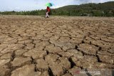 Warga melintas di dekat tambak yang kering akibat musim kemarau di kawasan Ladong, Aceh Besar, Selasa (9/7/2019). Musim kemarau di Aceh juga telah menyebabkan berkurangnya debit air sungai, kekeringan lahan pertanian dan kebakaran hutan dengan sulu udara antara 23 hingga 35 derajat celcius. (Antara Aceh / Irwansyah Putra)