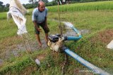 Petani mengairi sawah yang dilanda kekeringan dengan menggunakan mesin pompa air di Desa Rantoe Panjang Barat, Meureubo, Aceh Barat, Aceh, Selasa (9/7/2019). Dampak musim kemarau yang terjadi sejak sebulan terakhir mengakibatkan puluhan hektar area persawahan di Kabupaten setempat mengering sehingga para petani terpaksa mengeluarkan biaya tambahan untuk bahan bakar minyak sebesar Rp50.000 per hari dan per sekali sedot air. (Antara Aceh/Syifa Yulinnas)
