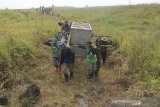 Petugas mengangkut kandang yang berisi macan tutul (Panthera Pardus Melas) untuk dilepasliarkan di gunung Dulang kawasan Taman Nasional Gunung Ciremai, Kuningan, Jawa Barat, Selasa (9/7/2019). Kementerian Lingkungan Hidup melalui BKSDA Jawa Barat, melepasliarkan seekor macan tutul yang ditangkap saat memasuki pemukiman penduduk pada bulan Juni lalu. ANTARA JABAR/Dedhez Anggara/agr