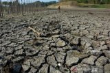 Kondisi Waduk Grojokan yang mulai mengering di Desa Pelabuhan, Kecamatan Plandaan, Jombang, Jawa Timur, Senin (8/7/2019). Musim kemarau yang mulai melanda 6 Kecamatan di Jombang membuat waduk tersebut yang sebelumnya digunakan untuk mengairi sekitar 700 hektar lahan pertanian mulai mengering dan tidak dapat digunakan untuk irigasi sawah karena hanya tersisa genangan air. Antara Jatim/Syaiful Arif/zk