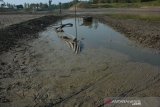 Kondisi Waduk Grojokan yang mulai mengering di Desa Pelabuhan, Kecamatan Plandaan, Jombang, Jawa Timur, Senin (8/7/2019). Musim kemarau yang mulai melanda 6 Kecamatan di Jombang membuat waduk tersebut yang sebelumnya digunakan untuk mengairi sekitar 700 hektar lahan pertanian mulai mengering dan tidak dapat digunakan untuk irigasi sawah karena hanya tersisa genangan air. Antara Jatim/Syaiful Arif/zk