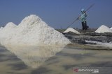 Petambak memanen garam di desa Tanjakan, Krangkeng, Indramayu, Jawa Barat, Rabu (10/7/2019). Petambak mengeluhkan harga garam yang terus menurun dari harga Rp700 per kilogram menjadi Rp500 per kilogram. ANTARA JABAR/Dedhez Anggara/agr