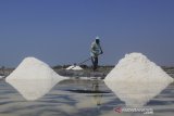 Petambak memanen garam di desa Tanjakan, Krangkeng, Indramayu, Jawa Barat, Rabu (10/7/2019). Petambak mengeluhkan harga garam yang terus menurun dari harga Rp700 per kilogram menjadi Rp500 per kilogram. ANTARA JABAR/Dedhez Anggara/agr