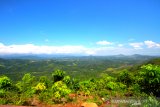 Pemandangan alam dari puncak Taman Hutan Raya (Tahura) Sultan Adam di desa Mandiangin, Kabupaten Banjar, Kalimantan Selatan, Kamis (11/7/2019).Tahura Sultan Adam yang berada di desa Mandiangin Kabupaten banjar  tersebut menawarkan banyak tempat menarik untuk bersantai maupun berfoto.Foto Antaranews Kalsel/ Bayu Pratama S.