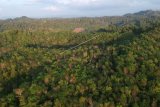 Foto udara kawasan hutan Desa Durian Rambun di Muara Siau, Merangin, Jambi, Rabu (10/7/2019). Desa Durian Rambun yang merupakan penyangga Taman Nasional Kerinci Seblat (TNKS) di bagian timur tersebut merupakan satu dari beberapa desa yang memiliki satu hamparan hutan desa seluas 4.484 hektare dan dibagi ke dalam tiga zona (zona inti, cadangan dan pemanfaatan) melalui skema perhutanan sosial dari Kementerian Lingkungan Hidup dan Kehutanan (KLHK). ANTARA FOTO/Wahdi Septiawan/wsj.