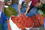 Pedagang menata cabai merah dan cabai rawit di pasar tradisional Peunayung, Banda Aceh, Jumat (12/7/2019). Pedagang menyatakan, beberapa komoditas terus mengalami kenaikan dan kenaikan drastis terjadi pada komoditas cabai merah dari Rp 70.000 menjadi Rp85.000 perkilogram, cabai hijau dari Rp45.000 naik menjadi Rp60.000 perkilogramdan cabai rawit dari Rp50.000 naik menjadi Rp60.000 perkilogram, akibat persediaan cabai menipis terkait minimnya pasokan.(Antara Aceh/Ampelsa)