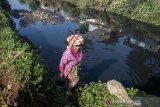 Warga menggunakan aliran sungai yang tercemar limbah untuk bercocok tanam di Sungai Cipamokolan, Bandung, Jawa Barat, Jumat (12/7/2019). Kondisi air aliran Sungai Cipamokolan yang bermuara di Sungai Citarum tersebut sebagian tertutupi busa, berwarna hitam dan mengeluarkan bau yang diduga akibat limbah industri sehingga menganggu aktivitas warga di sekitar sungai tersebut. ANTARA JABAR/Novrian Arbi/agr
