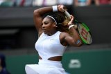 Serena dan Halep perebutkan gelar Grand Slam ke-24