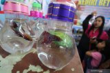 Warga mimilih ikan cupang di dalam botol di kawasan 'Kampung Ikan' Kediri, Jawa Timur, Jumat (12/7/2019). Pameran perikanan yang diselenggarakan pemerintah daerah setempat tersebut bertujuan mempromosikan hasil budidaya peternak sekaligus mengedukasi masyarakat tentang peluang usaha perikanan yang sangat menjanjikan. Antara Jatim/Prasetia Fauzani/zk.