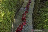 Wisatawan menikmati permainan body rafting menyusuri Sungai Citumang di Desa Bojong, Kabupaten Pangandaran, Jawa Barat, Sabtu (13/7/2019). Datangnya musim kemarau membawa berkah bagi pengelola wisata alam Citumang karena sepanjang aliran sungai tersebut menjadi jernih dan kunjungan wisatawan meningkat. ANTARA JABAR/Adeng Bustomi/agr
