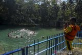 Wisatawan menikmati permainan body rafting menyusuri Sungai Citumang di Desa Bojong, Kabupaten Pangandaran, Jawa Barat, Sabtu (13/7/2019). Datangnya musim kemarau membawa berkah bagi pengelola wisata alam Citumang karena sepanjang aliran sungai tersebut menjadi jernih dan kunjungan wisatawan meningkat. ANTARA JABAR/Adeng Bustomi/agr
