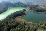 Telaga Warna Dieng dipercantik  tanaman bambu cendani