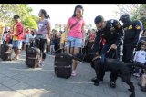 Petugas Bea Cukai mengarahkan seekor anjing pelacak (K9) narkotika untuk memeriksa barang bawaan penumpang saat simulasi dalam kegiatan 'Bea Cukai on The Street' di kawasan Renon, Denpasar, Bali, Minggu (14/7/2019). Kegiatan tersebut untuk memberikan edukasi dan mensosialisasikan upaya pemberantasan barang terlarang serta tugas-tugas Bea Cukai kepada masyarakat. ANTARA FOTO/Fikri Yusuf/nym.