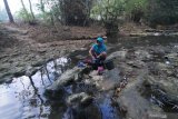 Warga mencuci di sungai yang airnya mulai tidak mengalir di Kelurahan Kowel, Pamekasan, Jawa Timur, Senin (15/7/2019). Pemkab setempat terus mendata daerah terdampak kekeringan guna mendapat bantuan air bersih. Antara Jatim/Saiful Bahri/zk.