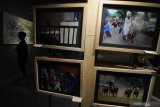 Pengunjung mengamati foto dalam pameran seni lukis dan foto 