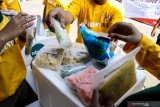 Petugas karantina menunjukkan contoh komoditas hasil pertanian berupa singkong beku sebelum di ekspor di kantor Balai Besar Karantina Pertanian Surabaya, Juanda, Sidoarjo, Jawa Timur, Selasa (16/7/2019). Kementerian Pertanian melalui Balai Besar Karantina Pertanian menggenjot pasar ekspor komoditas olahan hasil pertanian dan perkebunan Jawa Timur senilai Rp2,98 miliar ke berbagai negara . Antara Jatim/Umarul Faruq/zk