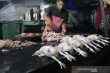 Pedagang memilah dan menata daging ayam di Pasar Tradisional Peunayong, Banda Aceh, Rabu (17/7/2019). Harga daging ayam di pasar tradisional Aceh mengalami kenaikan dari Rp35.000 per ekor menjadi Rp40.000 per ekor. (Antara aceh/Fajar Muqaram)