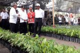 Pertemuan Jokowi dengan mantan Menteri Pertanian bahas tentang ekonomi
