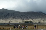  Wisatawan melihat pemandangan gunung Bromo yang mengalami erupsi dari kawasan lautan pasir di Probolinggo, Jawa Timur, Sabtu (20/7/2019). Pusat Vulkanologi Mitigasi Bencana Geologi (PVMBG) menghimbau masyarakat dan wisatawan tidak mendekat kawasan kawah Gunung Bromo sejauh radius satu kilometer. Antara Jatim/Vermensius Onggat Gebze/abs/zk