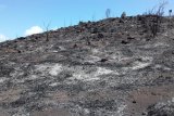 Masyarakat padamkan kobaran api di Gunung Botak Raja Ampat