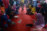 Sejumlah peserta mengikuti lomba adu cepat kucing makan di Pekan Kreatif, Taman Sari, Banda Aceh, Aceh, Sabtu (20/7/2019). Sekitar 50 peserta yang membawa kucing lokal dan kucing dari luar negeri yang mengikuti lomba adu cepat kucing makan pada kegiatan Pekan Kreatif itu, salah satu gerakan peduli melindungi dan menyangi binatang peliharaan. (Antara Aceh/Ampelsa)