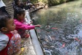 Sejumlah anak memberi makan ikan di area sumber banteng, Kelurahan Tempurejo, Kota Kediri, Jawa Timur, Minggu (21/7/2019). Kawasan mata air seluas satu hektar tersebut dikelola warga sekitar sebagai tempat wisata sekaligus menompang irigasi pertanian. Antara Jatim/Prasetia Fauzani/zk.