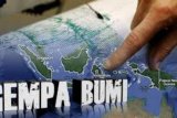 Gempa magnitudo 4,1 guncang barat daya Bonebolango