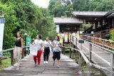 Rainforest World Music Festival (RWMF) merupakan festival musik tahunan yang telah digelar Sarawak Tourism Board (STB) sejak tahun 1998. Event yang rutin digelar setiap tahunnya selama tiga hari di Sarawak Cultural Village atau Kampung Budaya Sarawak di Kuching, Sarawak, Malaysia tersebut, bertujuan untuk merayakan keberagaman musik dunia. Pada tahun ini, RWMF 2019 dilaksanakan pada 12-14 Juli 2019. Dalam festival tersebut, pengunjung dapat menikmati pertunjukan musik, pameran kerajinan, gerai makanan, workshop hingga konser musik. Selain itu, pengunjung juga dapat mencoba beragam aktivitas seperti membuat lukisan, tato henna dari daun inai, bermain kano atau rakit, bermain gasing hingga berbelanja hasil kerajinan warga setempat. Untuk pertunjukan musiknya, tersaji beragam jenis seperti musik tradisional, fusion dan kontemporer. Rainforest World Music Festival menjadi perhelatan musik terbesar di Malaysia, yang pada tahun ini menampilkan 29 musisi yang didatangkan dari berbagai negaradi dunia yaitu antara lain Malaysia, Indonesia, Morocco, Vietnam, Scotland, Canary Islands, Chile, Madagascar, Russia, Ireland, Bhutan, Spanyol, Prancis, Jamaica, Estonia, Iran, Mongolia, New Zealand, Mauritius dan Cape Verde.