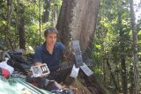 Rainforest Connection pasang 12 Guardian selamatkan hutan Sumbar