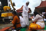 Pemuka agama Hindu memercikkan air suci pada umat saat perayaan Hari Raya Galungan di Pura Luhur Giri Arjuno, Batu, Jawa Timur, Rabu (24/7/2019). Umat Hindu di Batu merayakan Hari Raya Galungan setiap enam bulan sekali sebagai hari tanda kemenangan (Dharma) atas kejahatan (Adharma). Antara Jatim/Ari Bowo Sucipto/zk