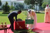 Jokowi dan Putra Mahkota Abu Dhabi tanam pohon di Istana Bogor