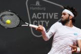 Basilashvili melaju ke final Hamburg Open