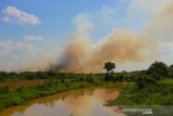 Asap terlihat membumbung tinggi akibat terbakarnya hutan di Rantau, kabupaten Tapin, Kalimantan Selatan, Minggu (28/7/2019) Jarak lokasi dan susahnya akses menuju tempat Kebakaran Hutan dan lahan (Karhutla) di daerah kabupaten setempat mengakbat petugas sulit untuk memadamkan kebakaran hutan teraebut.Foto Antaranews Kalsel/Bayu Pratama S.