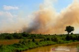 Asap terlihat membumbung tinggi akibat terbakarnya hutan di Rantau, kabupaten Tapin, Kalimantan Selatan, Minggu (28/7/2019) Jarak lokasi dan susahnya akses menuju tempat Kebakaran Hutan dan lahan (Karhutla) di daerah kabupaten setempat mengakbat petugas sulit untuk memadamkan kebakaran hutan tersebut.Foto Antaranews Kalsel/Bayu Pratama S.