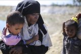 Usaha Bangladesh kirim pengungsi Rohingya kembali gagal