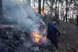 Pemadaman api di Gunung Arjuno terkendala kondisi medan curam