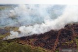 KLHK segel 10 lokasi kebakaran lahan di areal konsesi yang terbakar di Kalimantan Barat