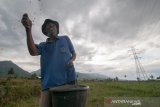 Tekan ongkos produksi jagung