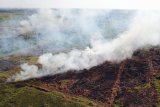 Foto udara kebakaran hutan dan lahan di kawasan Ketapang Tanjungpura Km 4 di Desa Sungai Awan Kiri, Kecamatan Muara Pawan, Kabupaten Ketapang, Kalimantan Barat, Selasa (30/7/2019). Hingga kini belum diketahui secara pasti penyebab kebakaran yang menghanguskan puluhan hektar lahan yang berada tidak jauh dari lokasi pelepasliaran Orangutan tersebut. ANTARA FOTO/HO/Heribertus/jhwANTARA FOTO/HERIBERTUS (ANTARA FOTO/HERIBERTUS)