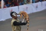 Peserta mengikuti Pets Carnival dalam rangkaian Jember Fashion Carnaval (JFC) ke-18 di Jember, Jawa Timur, Kamis (1/8/2019). Pets Carnival menampilkan parade hewan peliharaan, seperti anjing, ayam hias, musang, reptil dan kucing.   
Antara Jatim/Seno/zk.