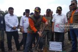 BRG sesalkan banyaknya pembakaran lahan